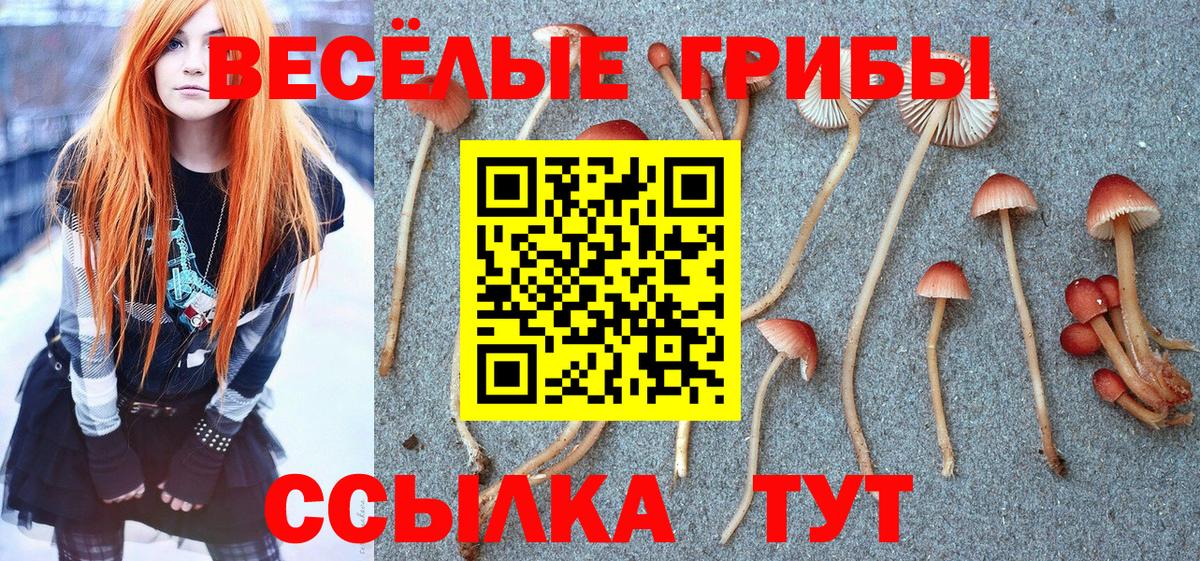 Псилоцибиновые грибы мухоморы  Вход с VPN  Павлово 